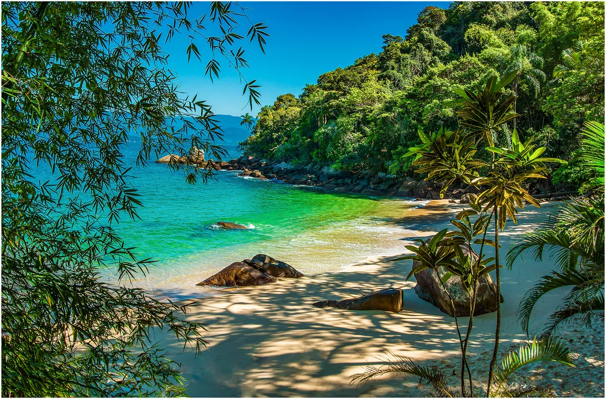 Areia branca e mar cristalino em uma das ilhas do litoral norte de Ubatuba