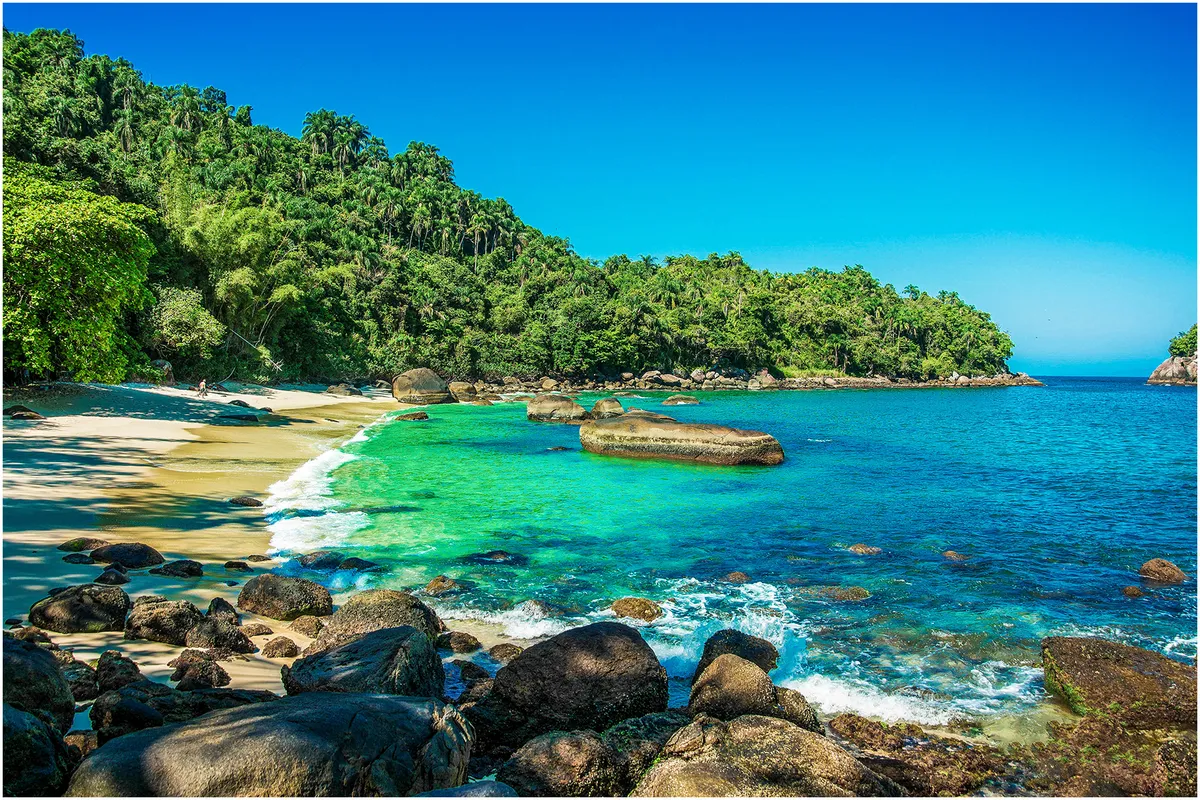 Costa rochosa e vegetação nativa em uma das ilhas de Ubatuba no litoral norte