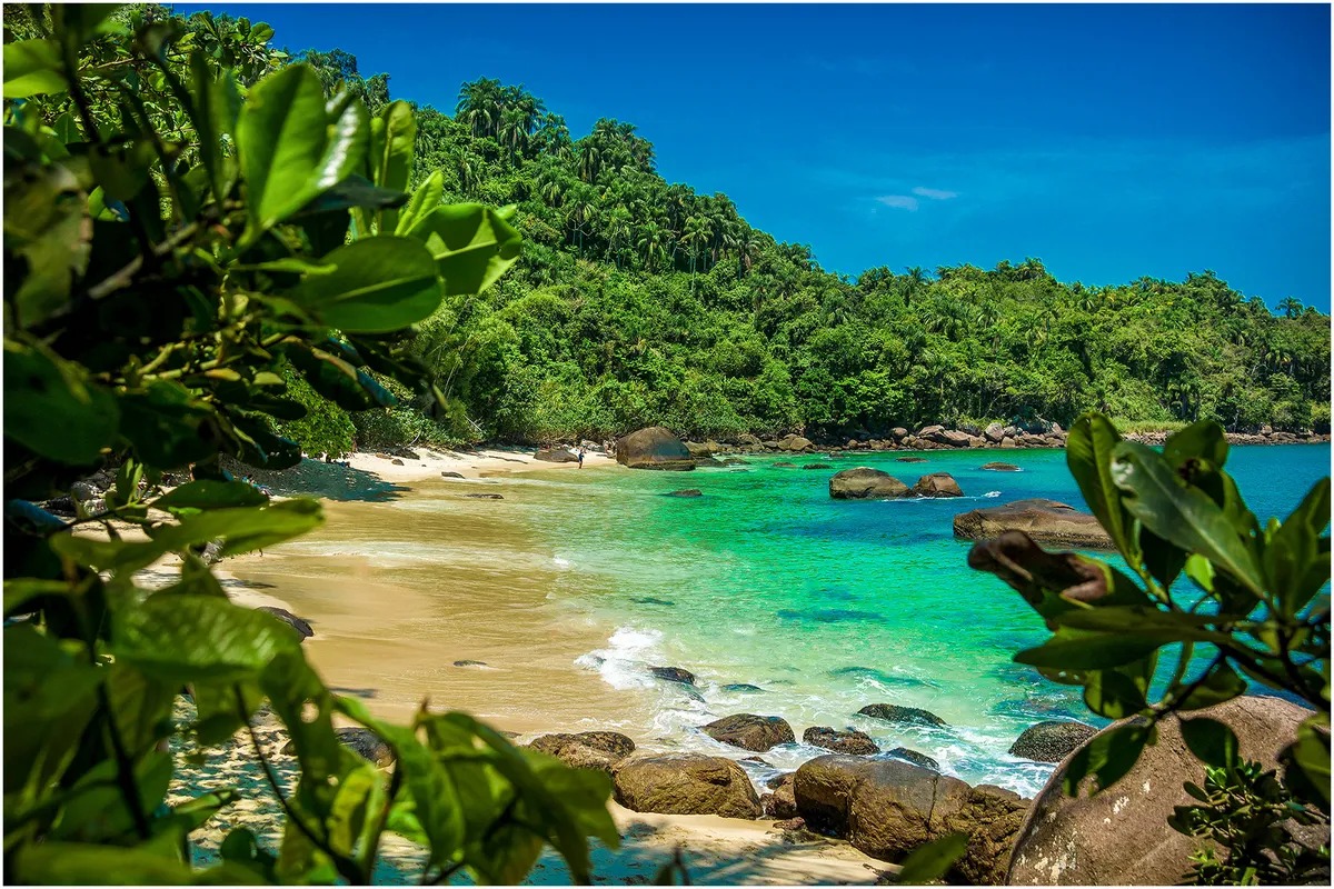 Praia da Ilha das Couves em Ubatuba com água transparente em tom turquesa